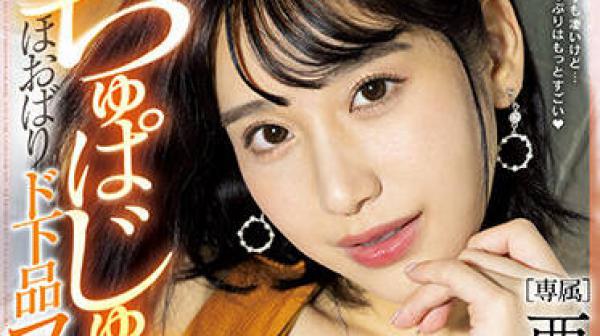 PRED-452 本地播音员-西野絵美